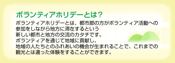 ボランティアホリデーとは?
