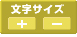文字サイズ